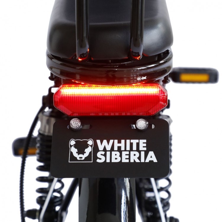 Электровелосипед WHITE SIBERIA CAMRY 1200W фото8